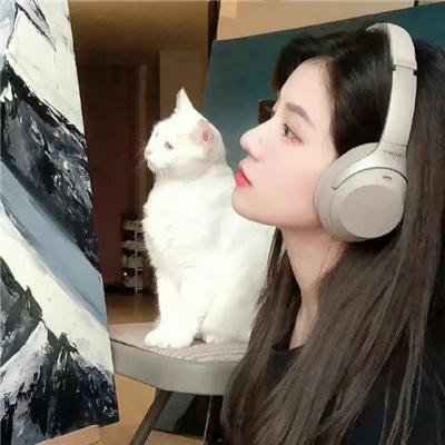 懒女苏 在线观看