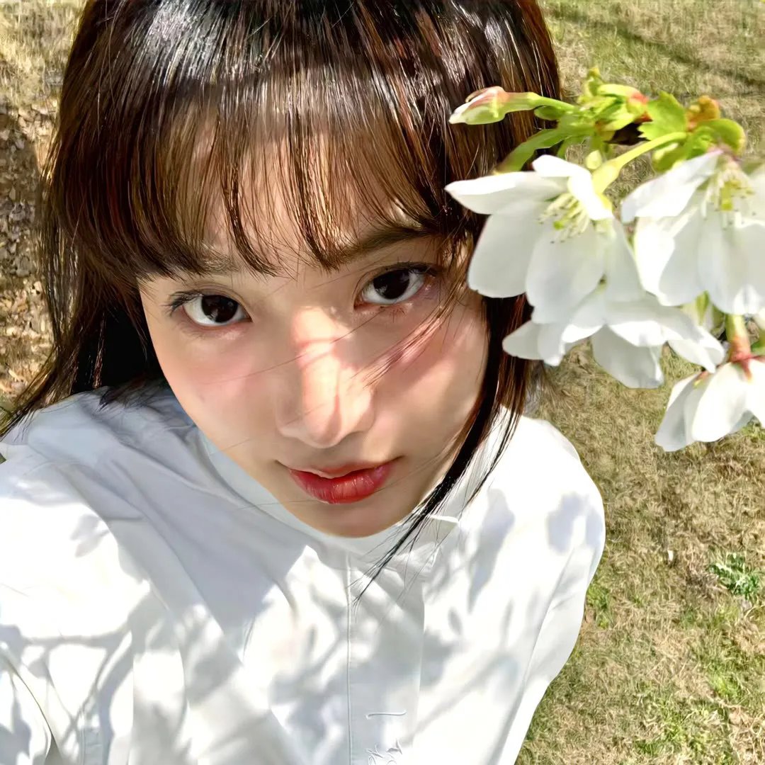 气球漫游记 在线观看